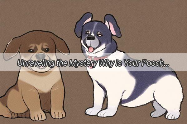 Unraveling the Mystery Why is Your Pooch Constantly Dry Heaving